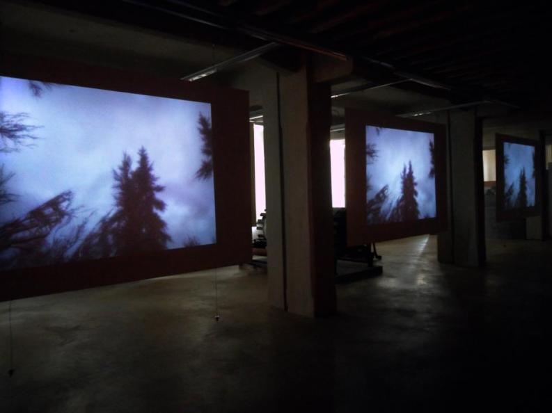 425107_4020479923750_272593931_n