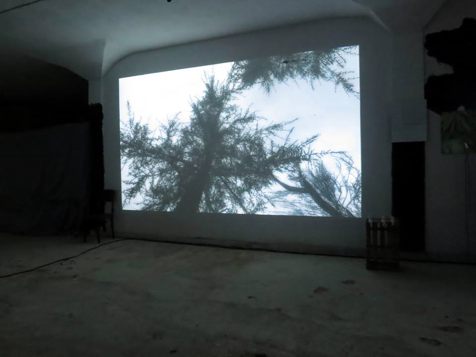 NEfest_Fov01_photo_Elina Mollova