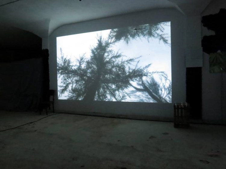 NEfest_Fov01_photo_Elina Mollova